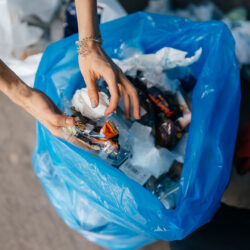 Сортування сміття в школі